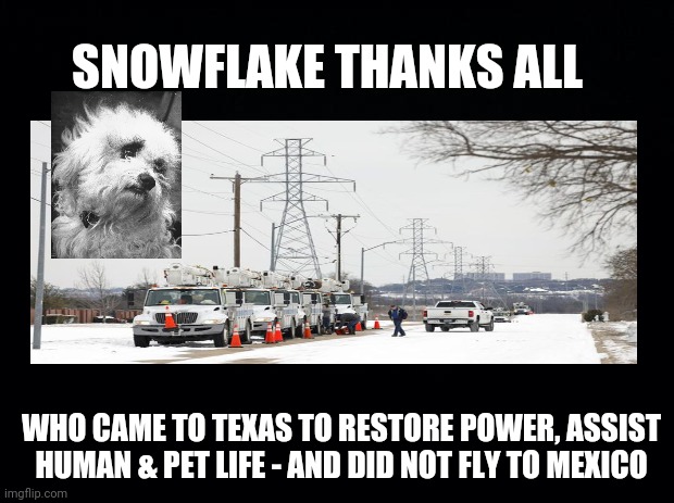 Snowflake Thanks Rescue Workers | SNOWFLAKE THANKS ALL; WHO CAME TO TEXAS TO RESTORE POWER, ASSIST HUMAN & PET LIFE - AND DID NOT FLY TO MEXICO | image tagged in snowflake,texas,snow storm,ted cruz,thank you,rescue workers | made w/ Imgflip meme maker