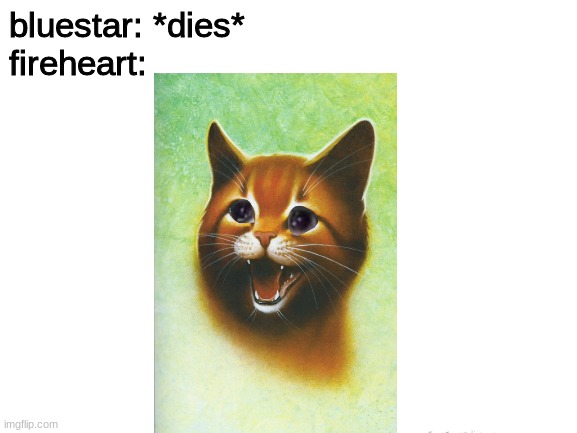 sorry if fireheart looks horrendous | bluestar: *dies*
fireheart: | made w/ Imgflip meme maker