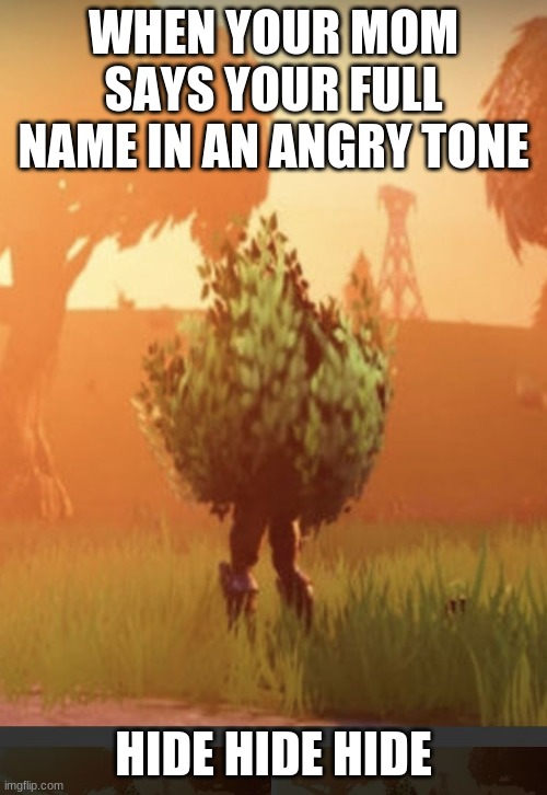 Fortnite bush | WHEN YOUR MOM SAYS YOUR FULL NAME IN AN ANGRY TONE; HIDE HIDE HIDE | image tagged in fortnite bush | made w/ Imgflip meme maker