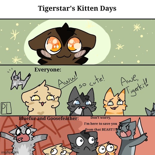 Tigerkit days | image tagged in tigerkit | made w/ Imgflip meme maker