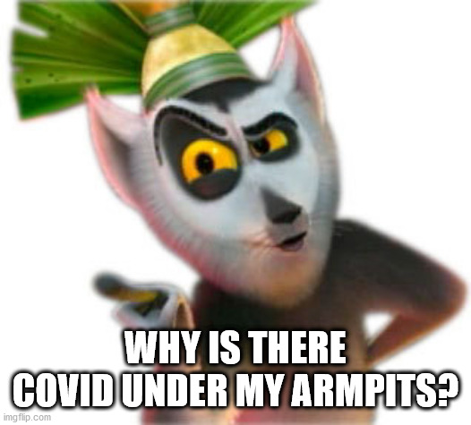 King Julien | WHY IS THERE COVID UNDER MY ARMPITS? | image tagged in king julien | made w/ Imgflip meme maker
