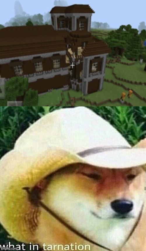Um... | image tagged in what in tarnation dog | made w/ Imgflip meme maker