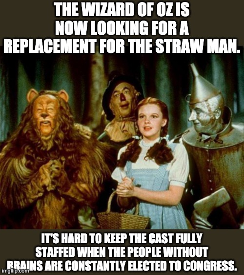 No brain | THE WIZARD OF OZ IS NOW LOOKING FOR A REPLACEMENT FOR THE STRAW MAN. IT'S HARD TO KEEP THE CAST FULLY STAFFED WHEN THE PEOPLE WITHOUT BRAINS ARE CONSTANTLY ELECTED TO CONGRESS. | image tagged in wizard of oz | made w/ Imgflip meme maker