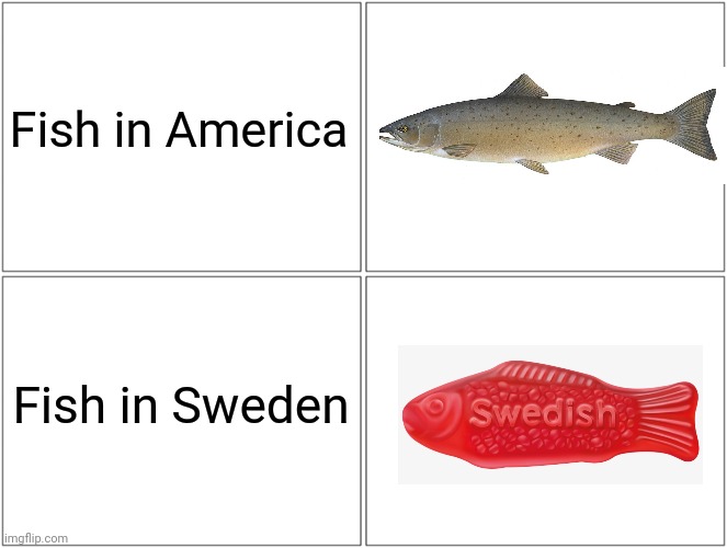 Fish Species in Different places | Fish in America; Fish in Sweden | image tagged in memes,blank comic panel 2x2,fish,swedish,fun,gifs,memes | made w/ Imgflip meme maker