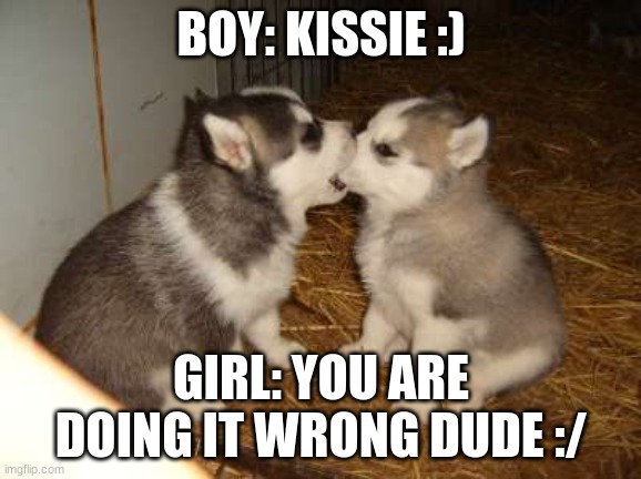 Kissie | BOY: KISSIE :); GIRL: YOU ARE DOING IT WRONG DUDE :/ | image tagged in memes,cute puppies | made w/ Imgflip meme maker