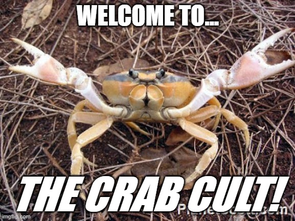 Sorry Jade, But I Don't Know if There Are Any Crab Streams on Imgflip | WELCOME TO... THE CRAB CULT! | image tagged in crabs,cult | made w/ Imgflip meme maker