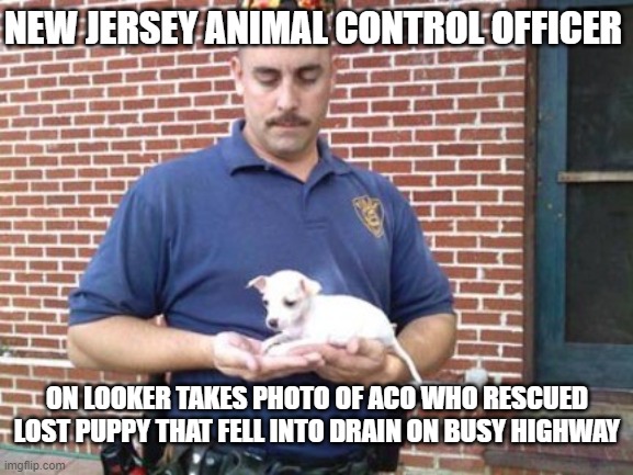 Animal Rescue | NEW JERSEY ANIMAL CONTROL OFFICER; ON LOOKER TAKES PHOTO OF ACO WHO RESCUED LOST PUPPY THAT FELL INTO DRAIN ON BUSY HIGHWAY | image tagged in animals,puppies,animal control,animal rescue,chihuahua,helping | made w/ Imgflip meme maker