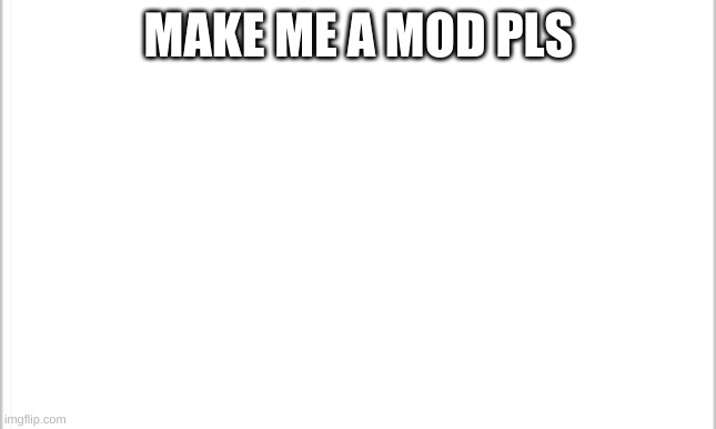 white background | MAKE ME A MOD PLS | image tagged in white background | made w/ Imgflip meme maker
