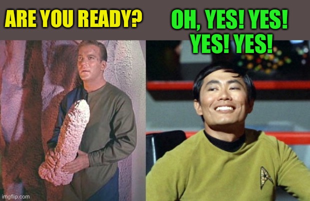 Kirk and Sulu | ARE YOU READY? OH, YES! YES!
 YES! YES! | image tagged in kirk and sulu | made w/ Imgflip meme maker