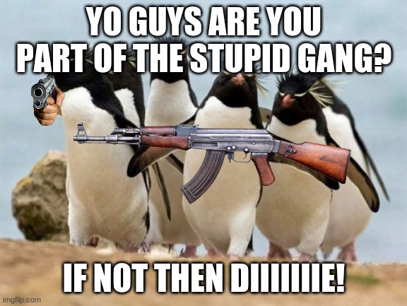 join the stupid gang | YO GUYS ARE YOU PART OF THE STUPID GANG? IF NOT THEN DIIIIIIIE! | image tagged in gang,penguin gang,gangs,penguin,penguins | made w/ Imgflip meme maker