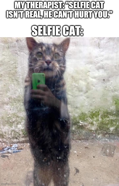 Selfie cat | MY THERAPIST: "SELFIE CAT ISN'T REAL, HE CAN'T HURT YOU."; SELFIE CAT: | image tagged in cats,cat,funny cats,funny cat memes,cat meme,brimmuthafukinstone | made w/ Imgflip meme maker