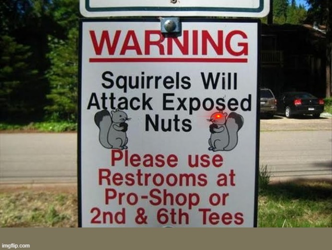 squerrles& nuts | image tagged in squirrel,nuts,funny,funny animals,funny signs | made w/ Imgflip meme maker