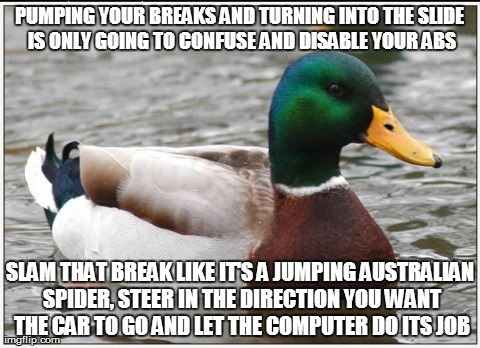 Actual Advice Mallard Meme | PUMPING YOUR BREAKS AND TURNING INTO THE SLIDE IS ONLY GOING TO CONFUSE AND DISABLE YOUR ABS SLAM THAT BREAK LIKE IT'S A JUMPING AUSTRALIAN  | image tagged in memes,actual advice mallard,AdviceAnimals | made w/ Imgflip meme maker