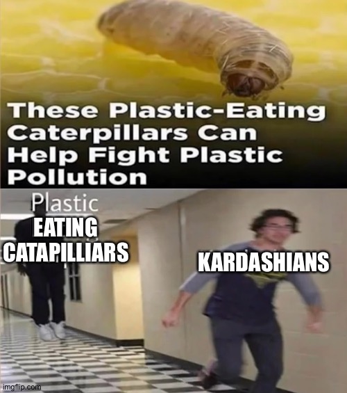 Lol | EATING CATAPILLIARS; KARDASHIANS | made w/ Imgflip meme maker