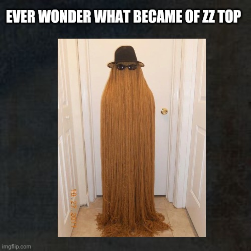 Ever Wonder... | EVER WONDER WHAT BECAME OF ZZ TOP | image tagged in zz top,cousin itt,addams family,funny,rock and roll,wonder | made w/ Imgflip meme maker