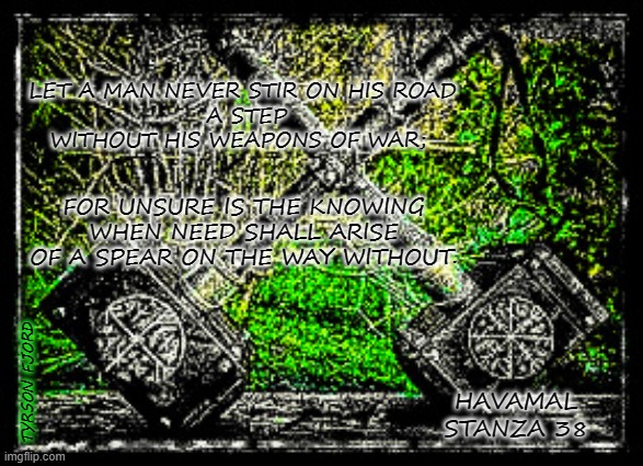 Havamal | LET A MAN NEVER STIR ON HIS ROAD
 A STEP
WITHOUT HIS WEAPONS OF WAR;; FOR UNSURE IS THE KNOWING
 WHEN NEED SHALL ARISE 
OF A SPEAR ON THE WAY WITHOUT. TYRSON FJORD; HAVAMAL STANZA 38 | image tagged in odin,heathen,pagan,wise man,faith | made w/ Imgflip meme maker