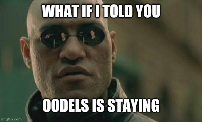 Matrix Morpheus | WHAT IF I TOLD YOU; OODELS IS STAYING | image tagged in memes,matrix morpheus | made w/ Imgflip meme maker