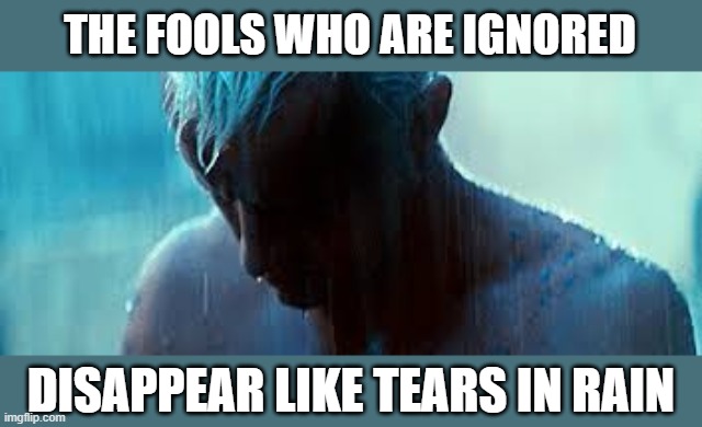 for trolls and idiots | THE FOOLS WHO ARE IGNORED; DISAPPEAR LIKE TEARS IN RAIN | image tagged in internet trolls | made w/ Imgflip meme maker