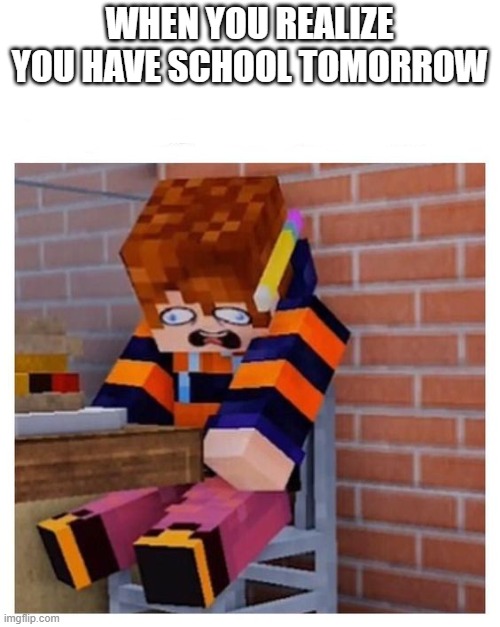 I Hate School | WHEN YOU REALIZE YOU HAVE SCHOOL TOMORROW | image tagged in school,school sucks | made w/ Imgflip meme maker
