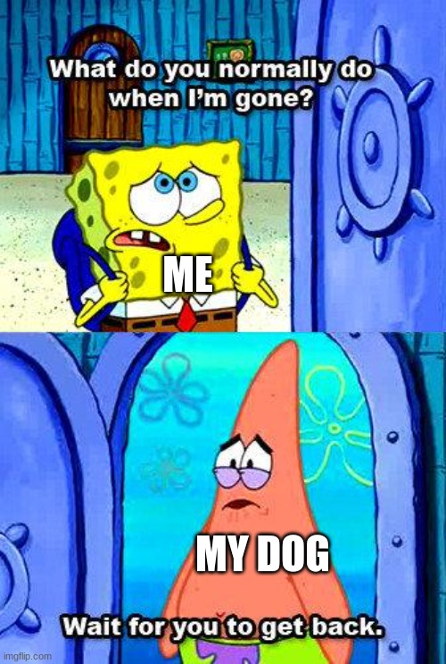 Pfft | ME; MY DOG | image tagged in what do you normally do when i'm gone | made w/ Imgflip meme maker