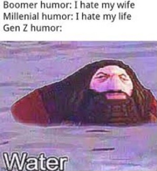 water | image tagged in hagrid,gen z,memes,funny,harry potter | made w/ Imgflip meme maker