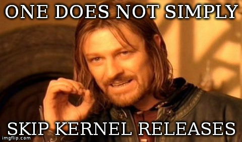 One Does Not Simply Meme | ONE DOES NOT SIMPLY SKIP KERNEL RELEASES | image tagged in memes,one does not simply | made w/ Imgflip meme maker
