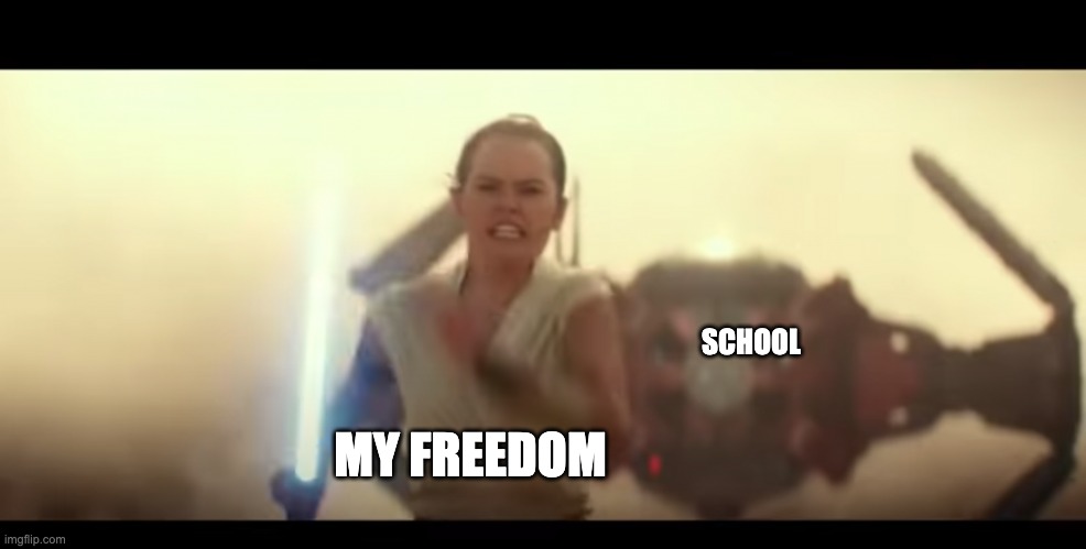 rey running | SCHOOL; MY FREEDOM | image tagged in rey running,meme,star wars,funny animals | made w/ Imgflip meme maker