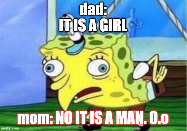 Mocking Spongebob Meme | dad:
IT IS A GIRL mom: NO IT IS A MAN. O.o | image tagged in memes,mocking spongebob | made w/ Imgflip meme maker