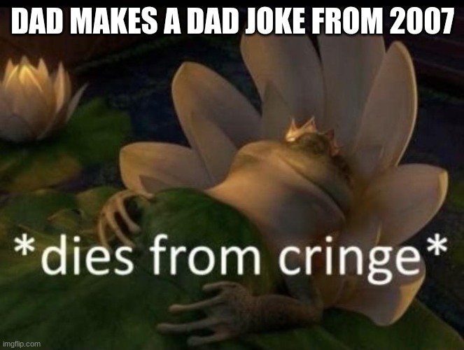 Dies from cringe | DAD MAKES A DAD JOKE FROM 2007 | image tagged in dies from cringe | made w/ Imgflip meme maker