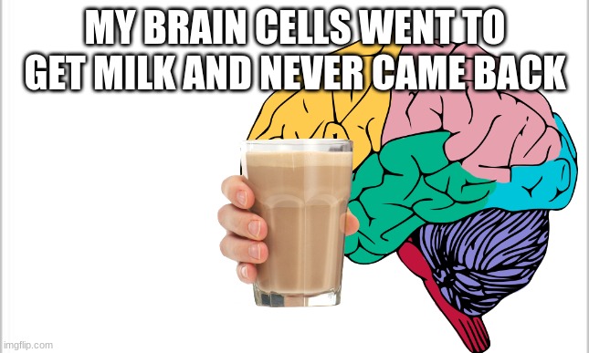 :') | MY BRAIN CELLS WENT TO GET MILK AND NEVER CAME BACK | made w/ Imgflip meme maker
