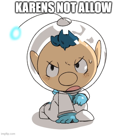 karens not allow | KARENS NOT ALLOW | image tagged in alph,karen,funny | made w/ Imgflip meme maker