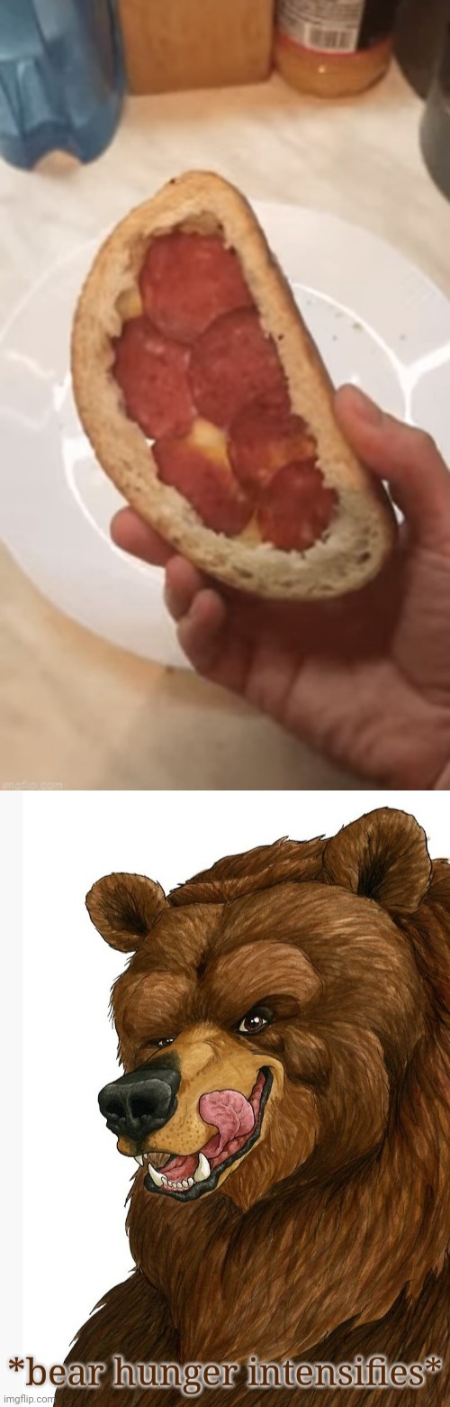 Pepperoni sandwich | image tagged in bear hunger intensifies,meme comments,comments,comment,comment section,memes | made w/ Imgflip meme maker