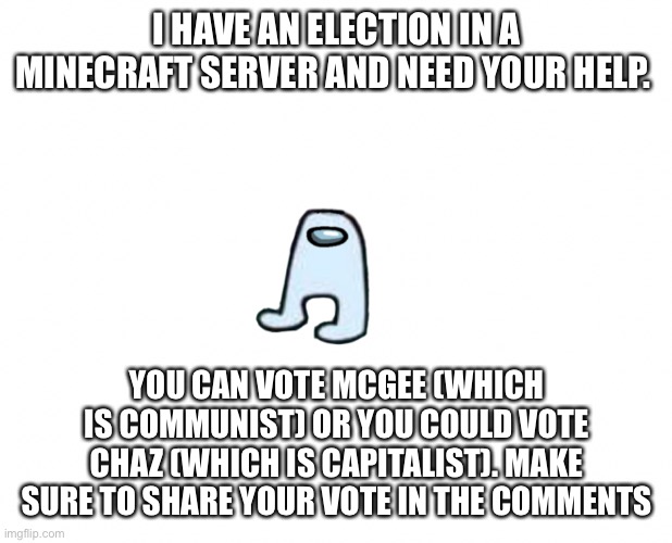 Vote McGee or Chaz | I HAVE AN ELECTION IN A MINECRAFT SERVER AND NEED YOUR HELP. YOU CAN VOTE MCGEE (WHICH IS COMMUNIST) OR YOU COULD VOTE CHAZ (WHICH IS CAPITALIST). MAKE SURE TO SHARE YOUR VOTE IN THE COMMENTS | image tagged in election | made w/ Imgflip meme maker
