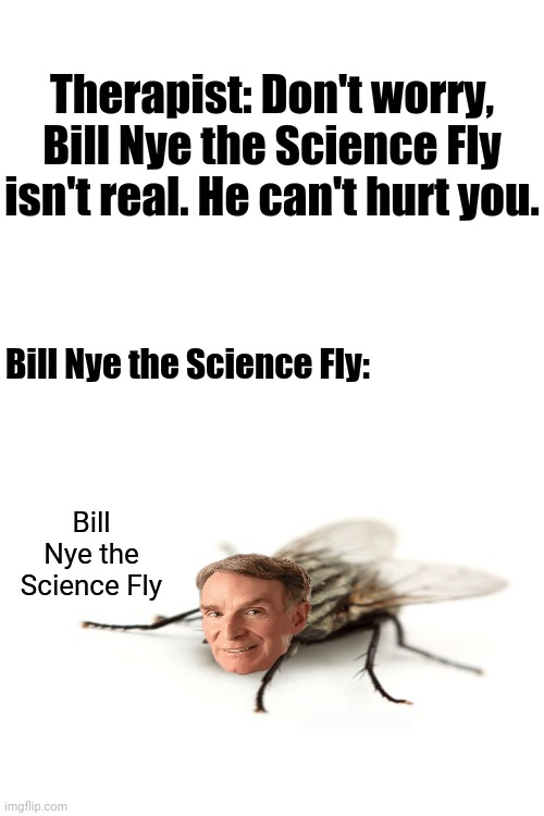 Bill Nye the Science Fly | Therapist: Don't worry, Bill Nye the Science Fly isn't real. He can't hurt you. Bill Nye the Science Fly:; Bill Nye the Science Fly | image tagged in blank white template,funny,bill nye,fly,memes,meme | made w/ Imgflip meme maker