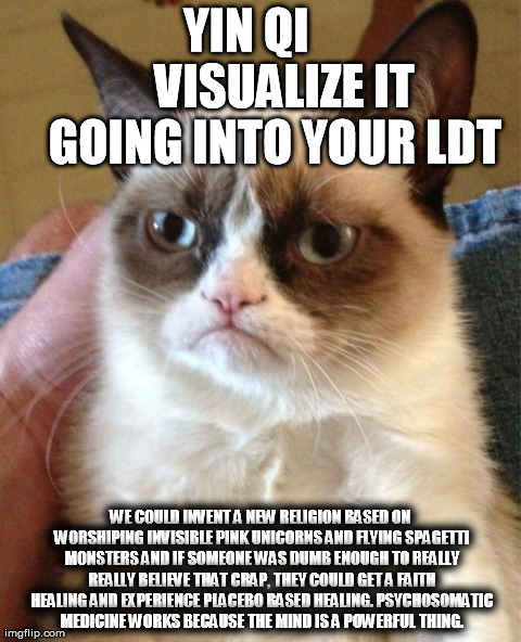 Grumpy Cat Meme | YIN QI          
 VISUALIZE IT    GOING INTO YOUR LDT WE COULD INVENT A NEW RELIGION BASED ON WORSHIPING INVISIBLE PINK UNICORNS AND FLYING  | image tagged in memes,grumpy cat | made w/ Imgflip meme maker