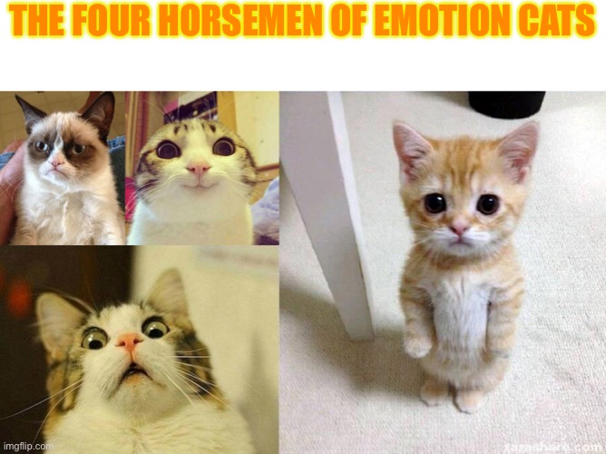 Scared Cat Meme Generator - Imgflip