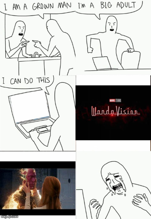 wandavision stream is not dead because the show is over. Mod note: xD nice meme! | image tagged in im a grown man,wandavision | made w/ Imgflip meme maker