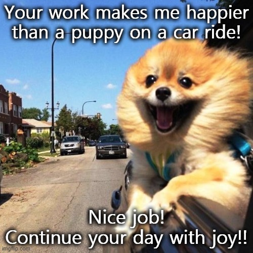 happy dog | Your work makes me happier than a puppy on a car ride! Nice job!
Continue your day with joy!! | image tagged in happy dog | made w/ Imgflip meme maker