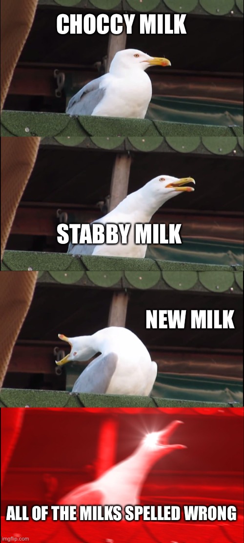 Inhaling Seagull | CHOCCY MILK; STABBY MILK; NEW MILK; ALL OF THE MILKS SPELLED WRONG | image tagged in memes,inhaling seagull | made w/ Imgflip meme maker