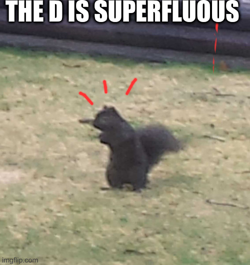 D double d | THE D IS SUPERFLUOUS | image tagged in squirrel | made w/ Imgflip meme maker