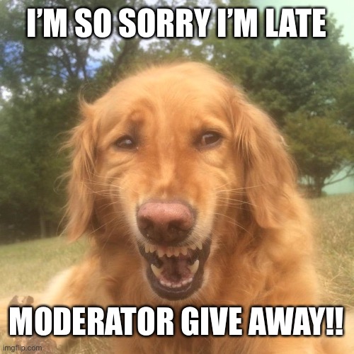 FIRST TO COMMENT!! | I’M SO SORRY I’M LATE; MODERATOR GIVE AWAY!! | image tagged in awkward laugh dog | made w/ Imgflip meme maker