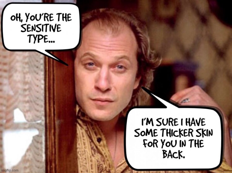 Oh, you’re the sensitive type | image tagged in buffalo bill,thicker skin,overly sensitive | made w/ Imgflip meme maker