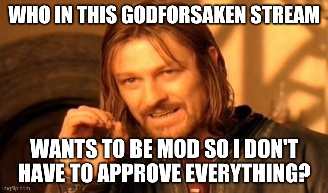 One Does Not Simply | WHO IN THIS GODFORSAKEN STREAM; WANTS TO BE MOD SO I DON'T HAVE TO APPROVE EVERYTHING? | image tagged in memes,one does not simply | made w/ Imgflip meme maker