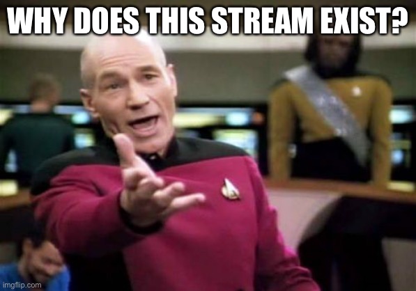 Cause yes | WHY DOES THIS STREAM EXIST? | image tagged in memes,picard wtf | made w/ Imgflip meme maker