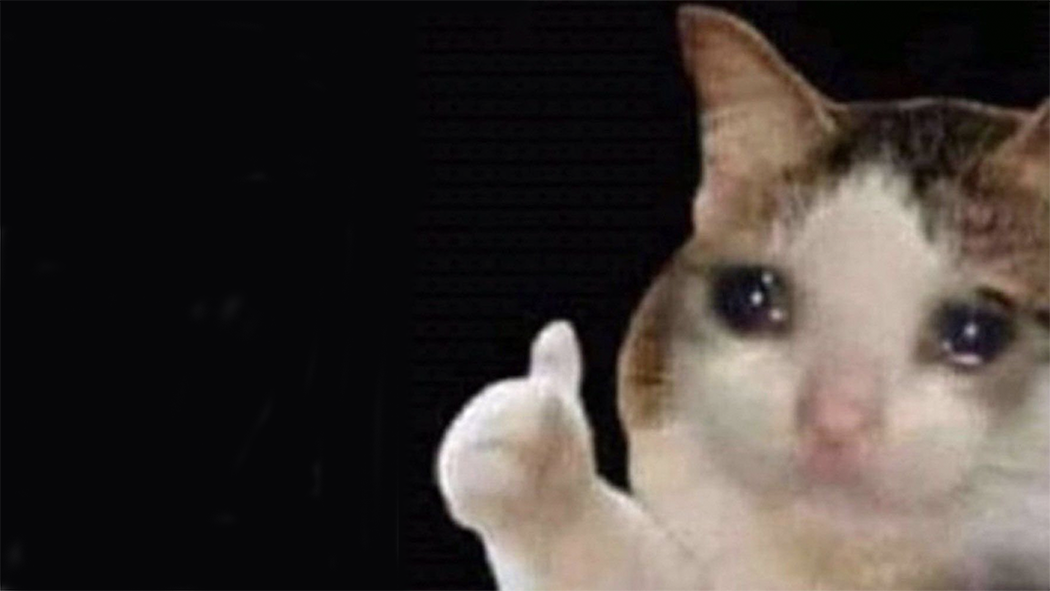 High Quality Thumbs up crying cat Blank Meme Template