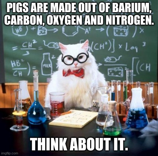 Chemistry Cat Says so. | PIGS ARE MADE OUT OF BARIUM, CARBON, OXYGEN AND NITROGEN. THINK ABOUT IT. | image tagged in memes,chemistry cat | made w/ Imgflip meme maker