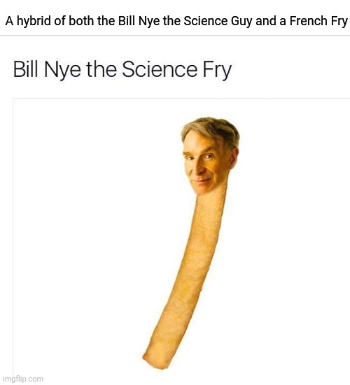 A hybrid | A hybrid of both the Bill Nye the Science Guy and a French Fry | image tagged in memes,meme comments,comments,comment,comment section,meme | made w/ Imgflip meme maker