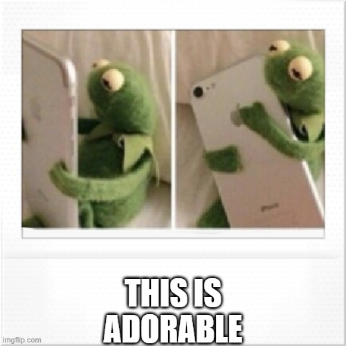 SO CUTE! | THIS IS ADORABLE | image tagged in kermit phone hug | made w/ Imgflip meme maker