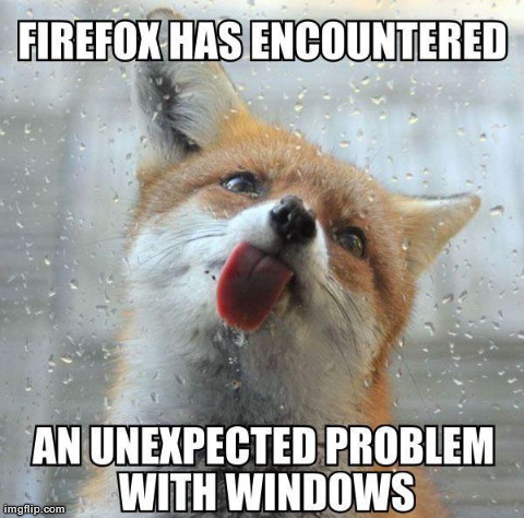 ~Firefox~
