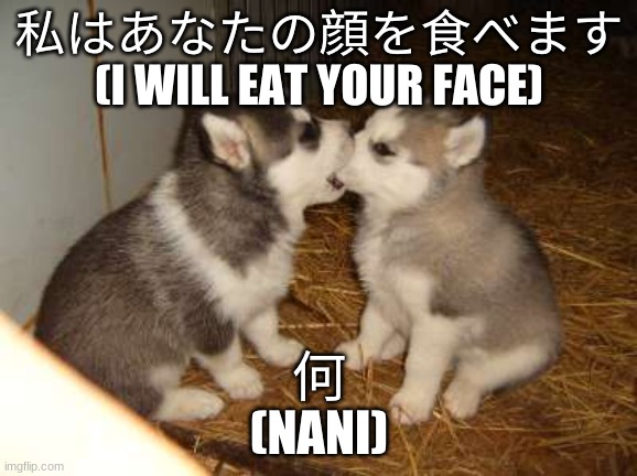 NANI?? | 私はあなたの顔を食べます
(I WILL EAT YOUR FACE); 何
(NANI) | image tagged in memes,cute puppies | made w/ Imgflip meme maker